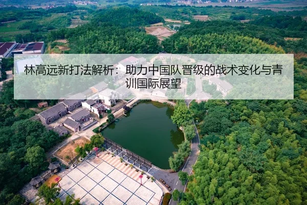 林高远新打法解析：助力中国队晋级的战术变化与青训国际展望