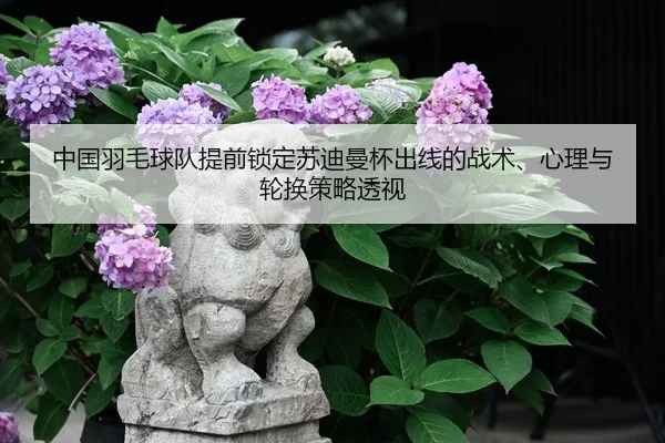 zhong-guo-yu-mao-qiu-dui-ti-qian-suo-ding-su-di-man-bei-chu-xian-de-zhan-shu-xin-li-yu-lun-huan-ce-lve-tou-shi-2-902.jpg